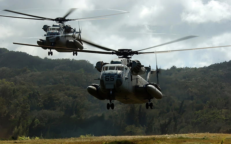 Two CH 53D Sea Stallion s032 Helicopters-military aircraft-, HD wallpaper