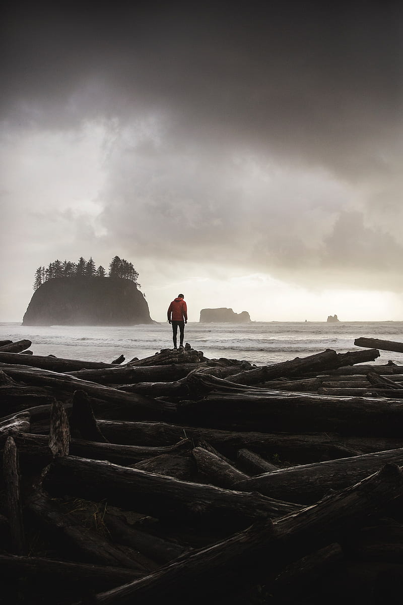logs, sea, coast, man, silhouette, HD phone wallpaper