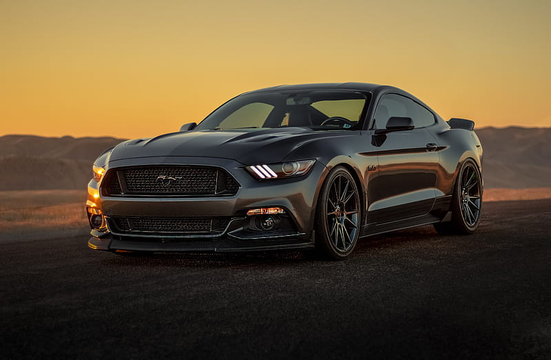 ford mustang, ford, bumper, gray, sunset, HD wallpaper