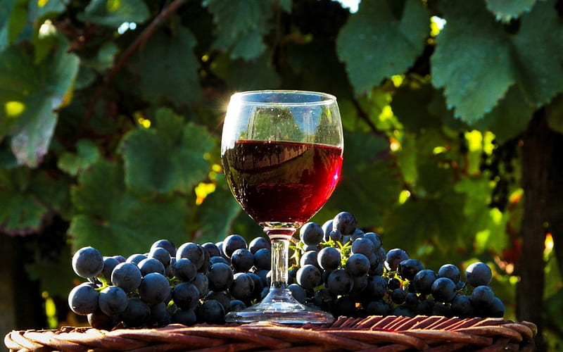 A LITTLE GLASS OF RED, romance, food, vinyard, outdoors, refreshment, fruit, grapes, glass, vines, relaxation, HD wallpaper