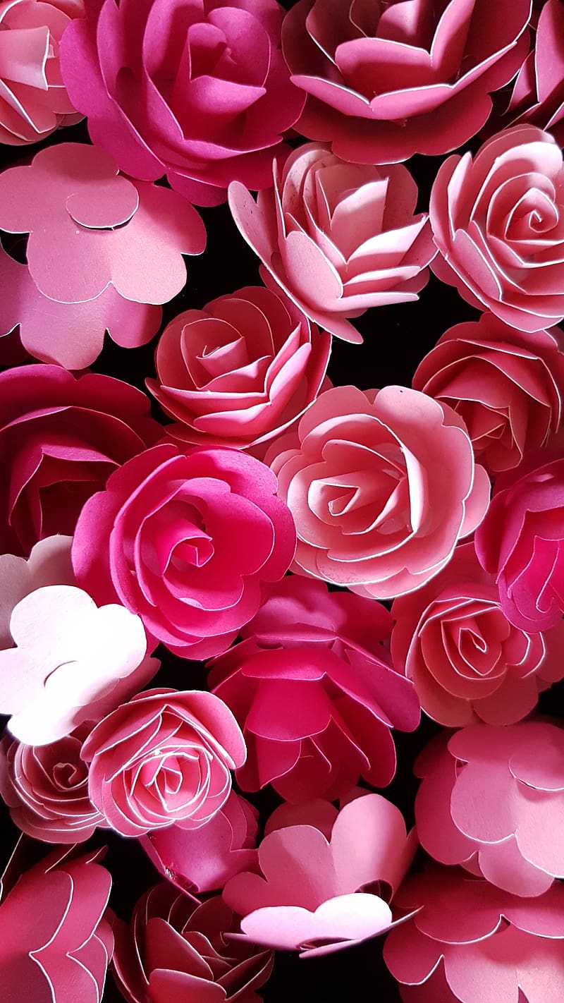 Koi Accha Sa, Pink Rosas, rosas, HD phone wallpaper | Peakpx