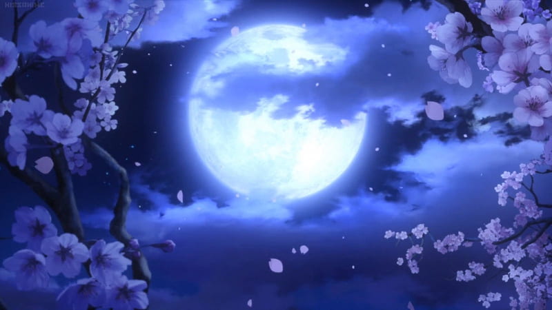 Anime torii gate sakura blossom dream moon