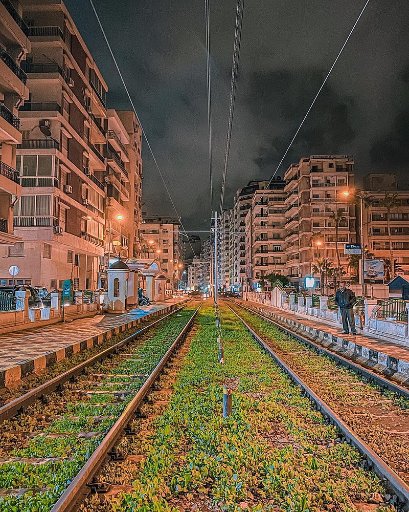 Alexandria on night , egypt, tram, HD phone wallpaper