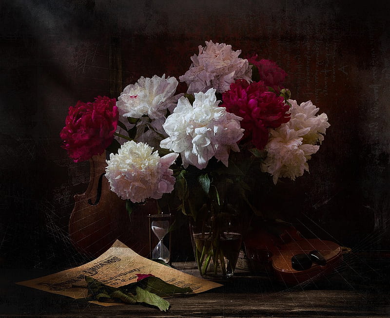 still life, pretty, notes, violins, vase, bonito, old, peonies, peony, graphy, nice, flowers, harmony, violin, lovely, music, hourglass, water, cool, bouquet, flower, HD wallpaper