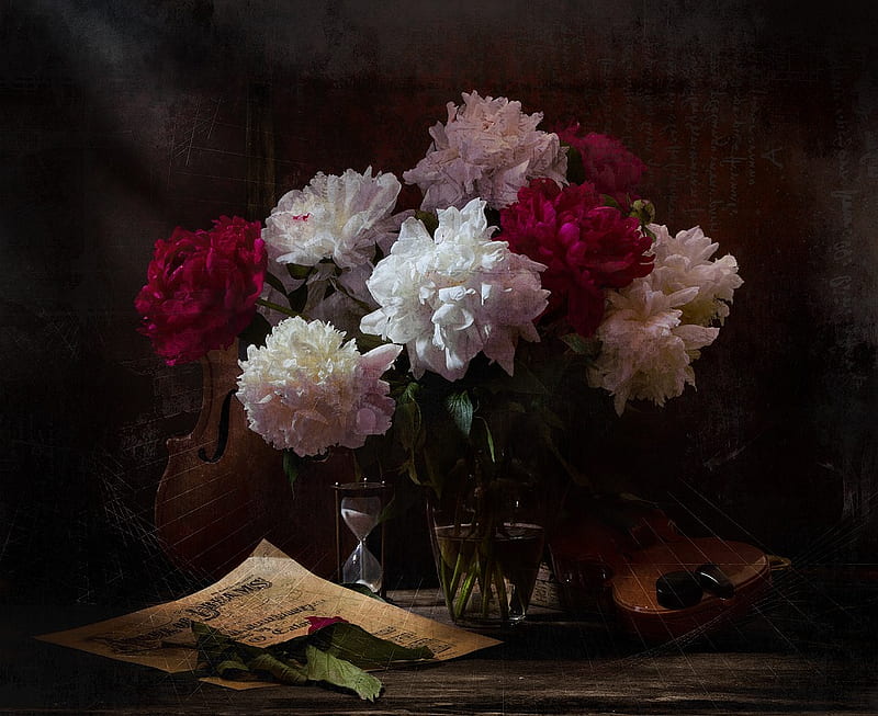 Still life, pretty, notes, violins, vase, bonito, old, peonies, peony ...