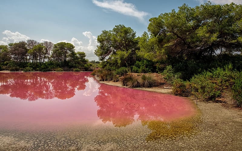 Pink Waters of Albufera, Spain, trees, sky, water, reflections, clouds, HD wallpaper