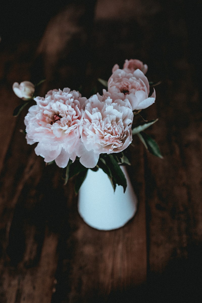 shallow focus graphy of pink carnation flower table centerpiec, HD phone wallpaper