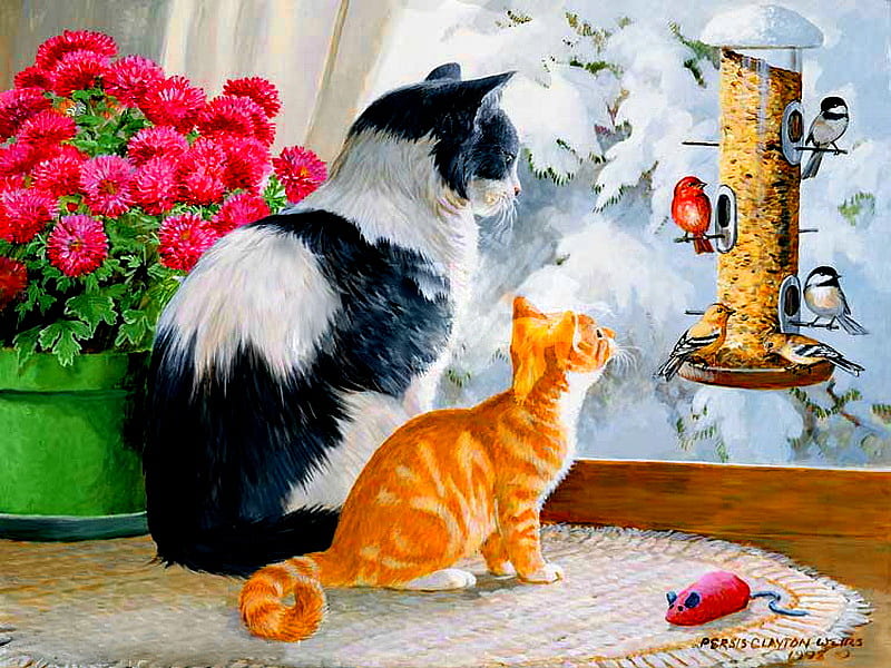 Cats, watching the snow, window, birds, trees, winter, cold, watch, snow, mouse, painting, flowers, kitties, cats, frost, HD wallpaper