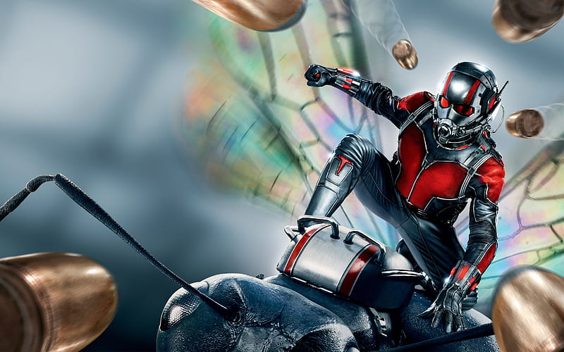 Ant Man 2015 Movie, ant-man, movies, HD wallpaper