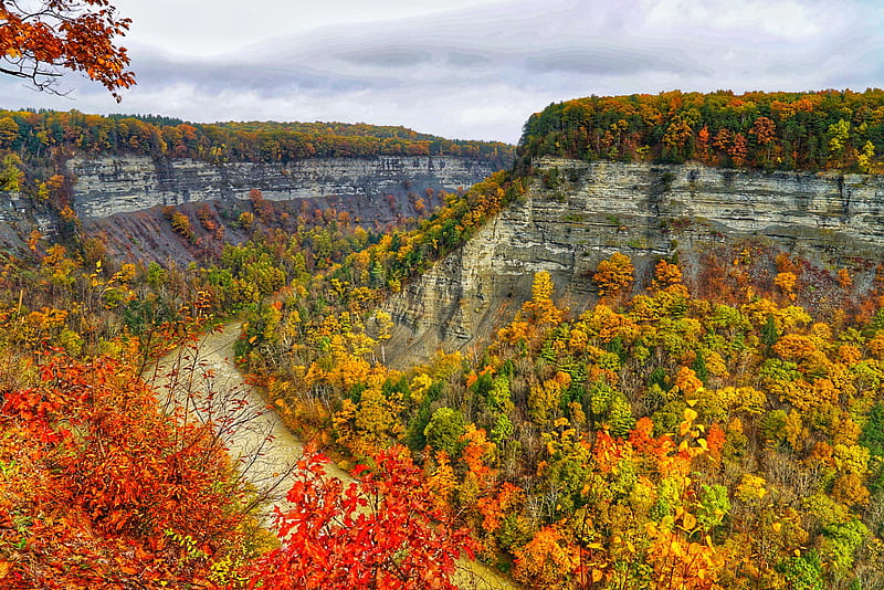Letchworth State Park in the fall - Castile, NY, autumn, trees, forest, leaves, colors, sky, HD wallpaper
