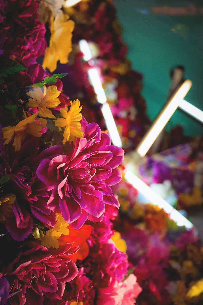 flowers, bouquet, neon, light, HD phone wallpaper