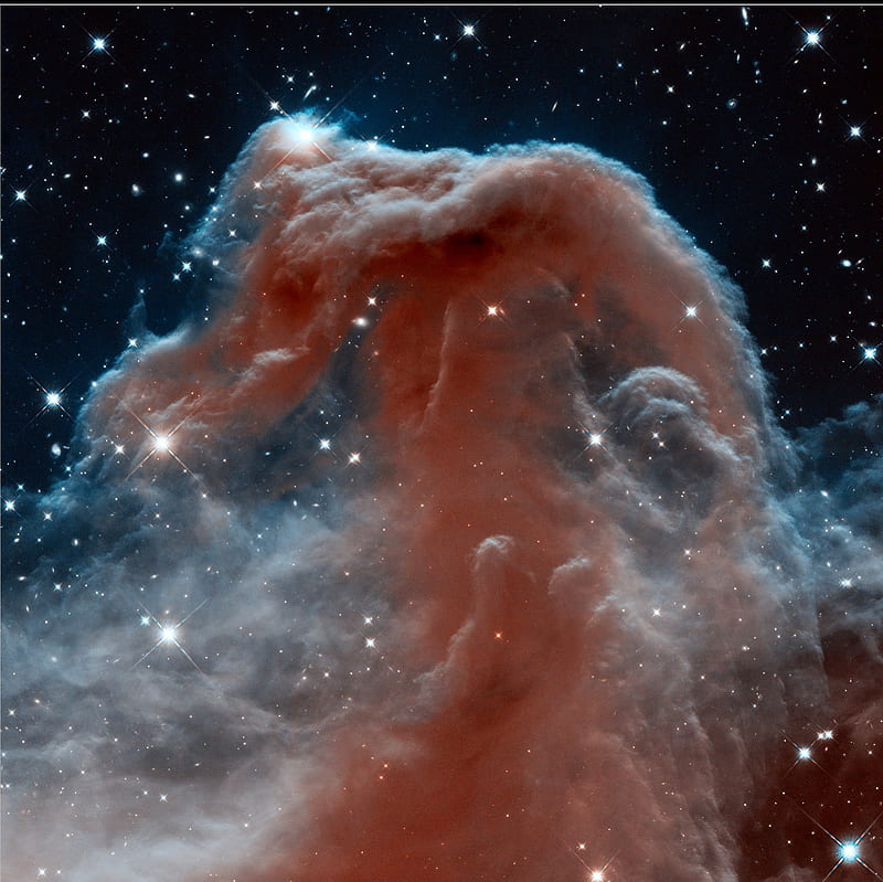Horsehead nebula in Infrared, infrared, Horsehead nebula, Hubble space telescope, Orion, HD wallpaper