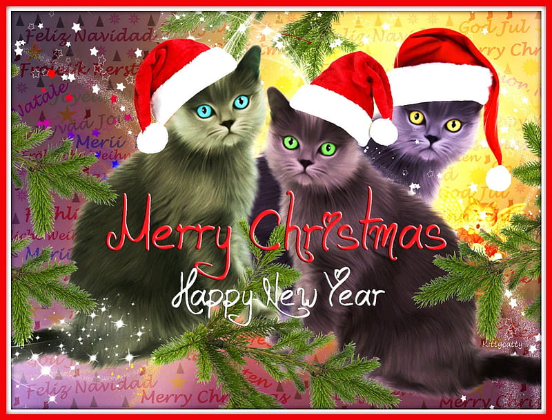 Christmas Cats , stars, Christmas cats, Christmas tree, messages, Merry Christmas, words, Happy New Year, christmas hats, wishes, kitten, Xmas, cats, animals, HD wallpaper