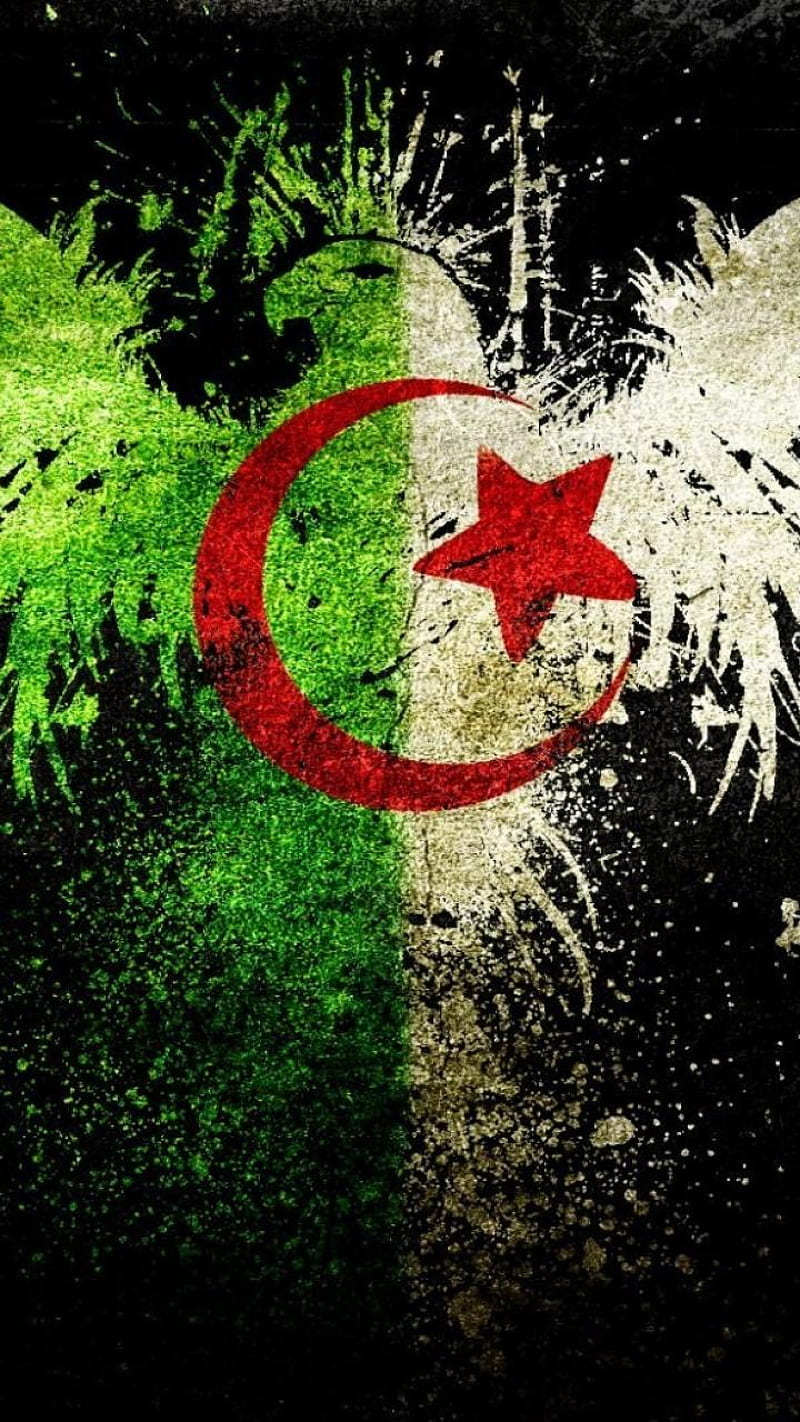 Algeria, africa, flag, proud, HD phone wallpaper