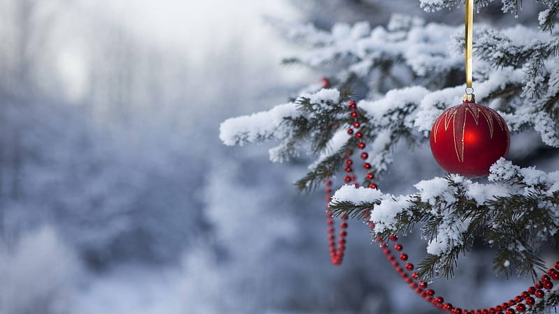 Snowy White Red Bulb, christmas tree, snowy christmas tree, red bulb, christmas bulb, HD wallpaper
