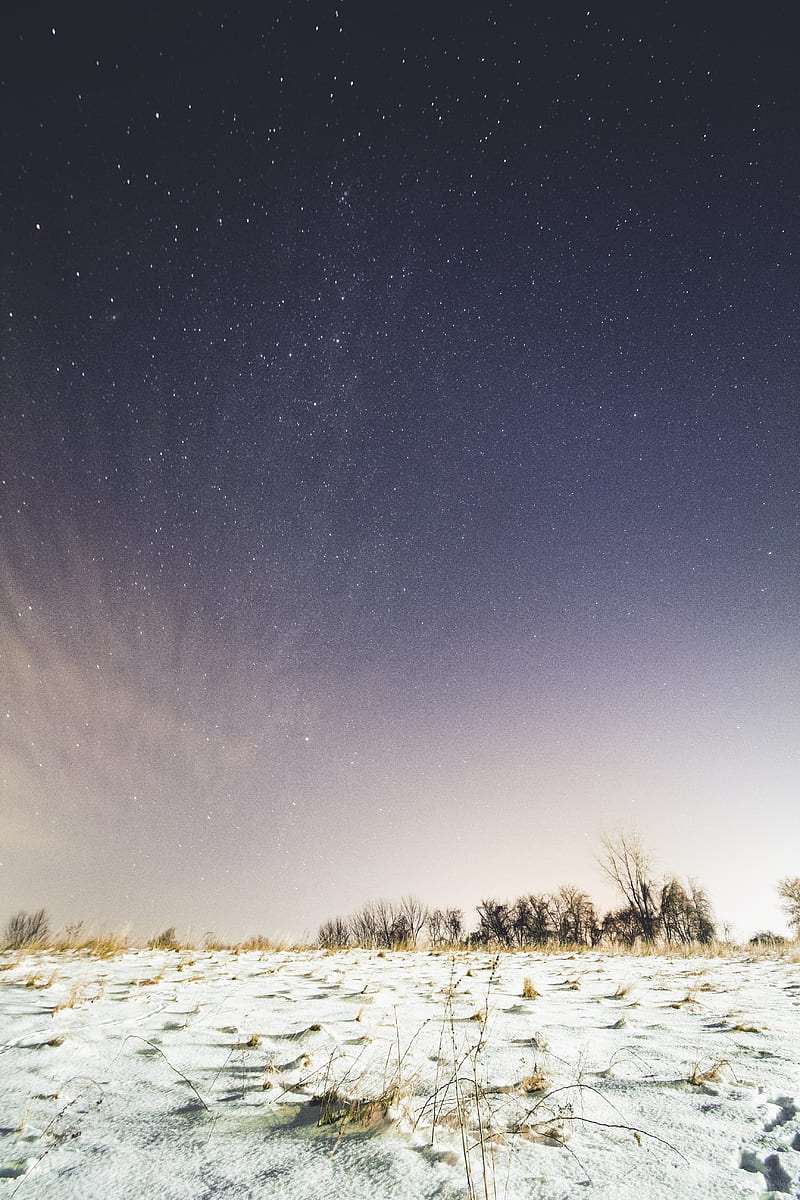 field, snow, starry sky, night, winter, HD phone wallpaper