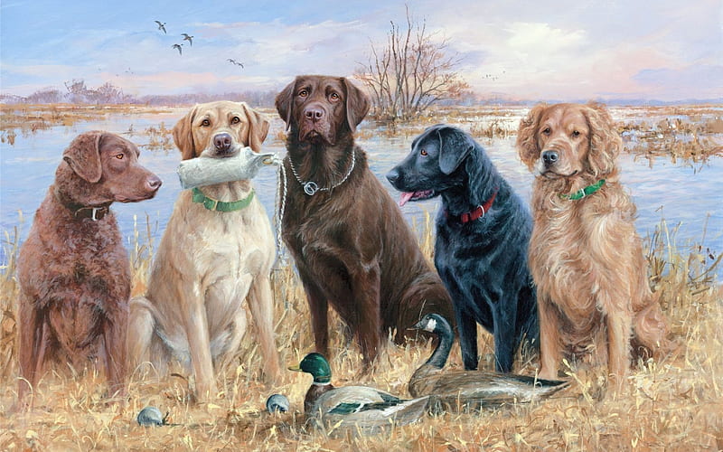 American artist, jim quillen, jim killen, duck hunting, HD wallpaper |  Peakpx