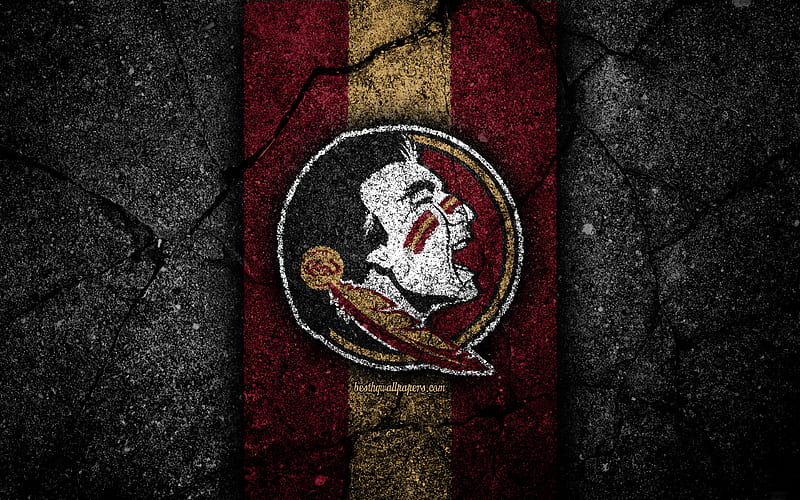 Florida state football HD wallpapers  Pxfuel