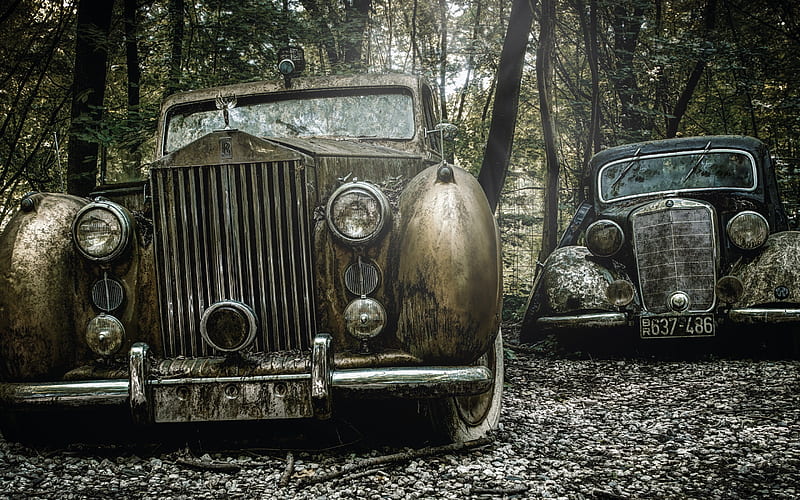 abandoned old cars, vintage cars, car dump, abandoned cars, rusty cars, HD wallpaper