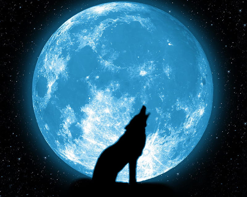 Howling, dark, full moon, galaxy, moon, moonlight, shadow, star, wolf, wolves, HD wallpaper