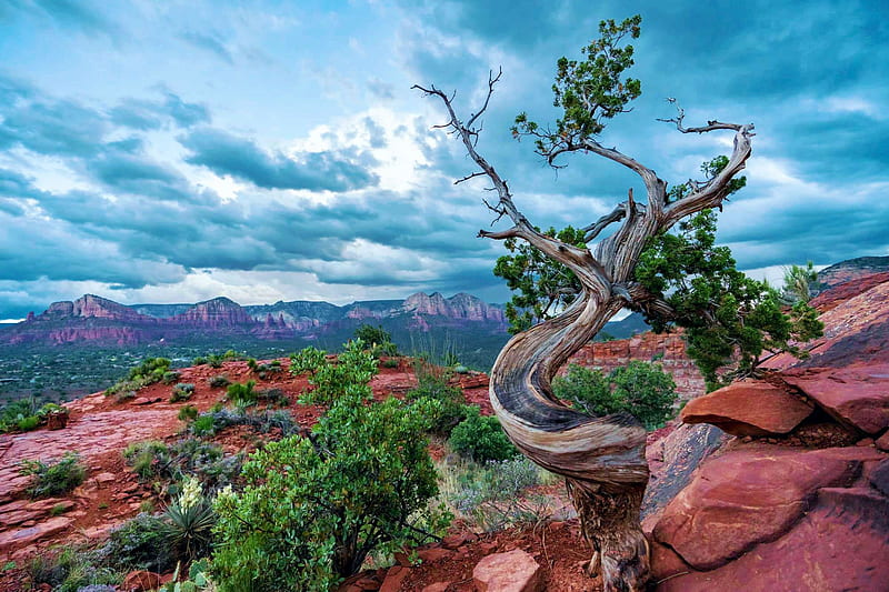 Red rocks and green plants on a rainy day in Sedona, AZ, rocks, clouds, sky, canyons, landscape, HD wallpaper
