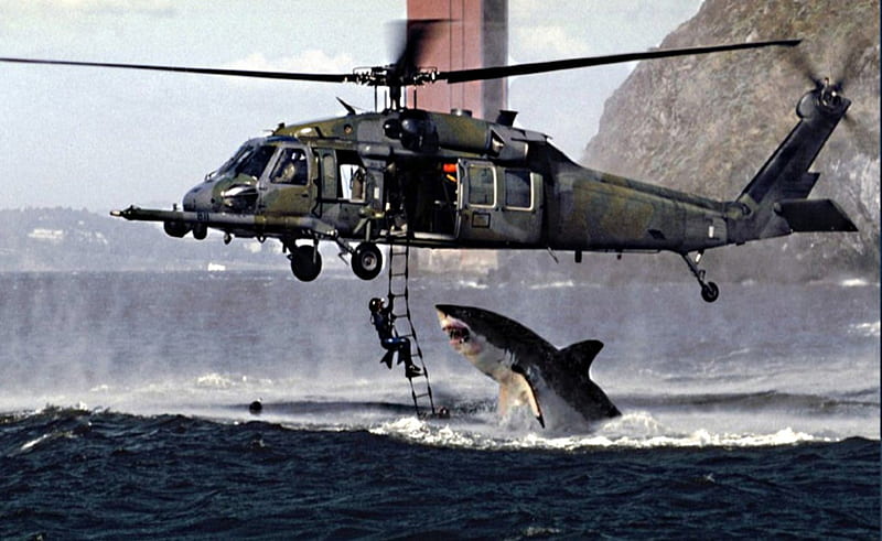 helicopter under attack, shark, underneath, hanging, person, HD wallpaper