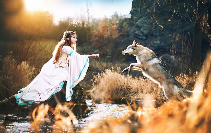 La princesa elfa y el lobo, otoño, modelo, naranja, duende, mujer, animal,  niña, Fondo de pantalla HD | Peakpx