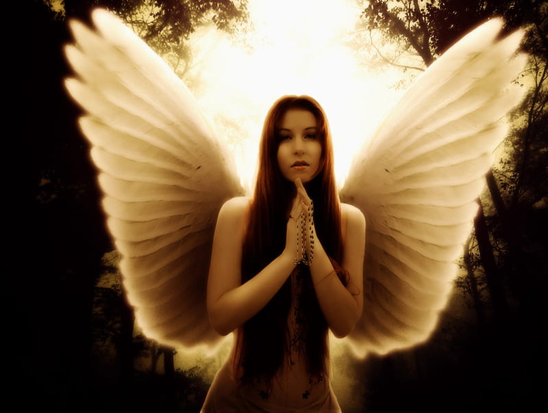 Why we cry, shine, fantasy, wings, angel, HD wallpaper | Peakpx