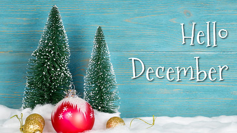 Hello December Letters In Decorated Christmas Tree Background HD December  Wallpapers  HD Wallpapers  ID 95288