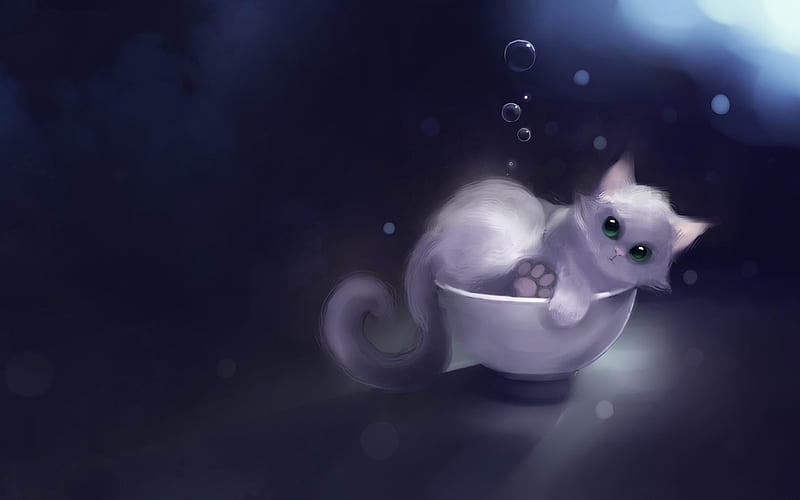 white kitty in a bowl-Fantasy painting, HD wallpaper
