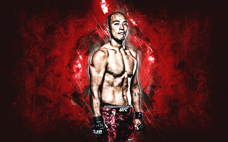 Junyong Park, UFC, MMA, South Korean fighter, portrait, red stone background, Ultimate Fighting Championship, HD wallpaper