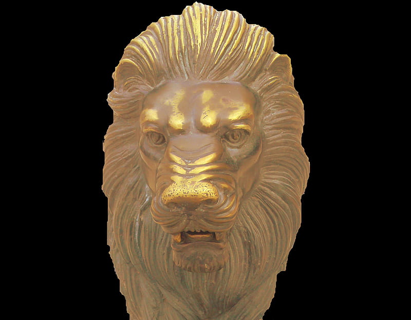 Lionhead, black, head, modified, lion, HD wallpaper