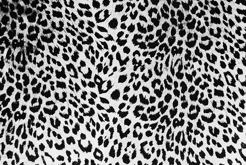 White Leopard Pattern, Leopard Skin, HD wallpaper