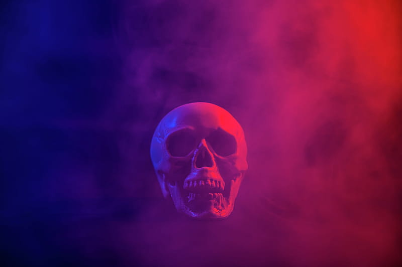 Weird Texas Halloween headlines: Skeleton thief, 'ghost' wedding and more, Dahmer, HD wallpaper