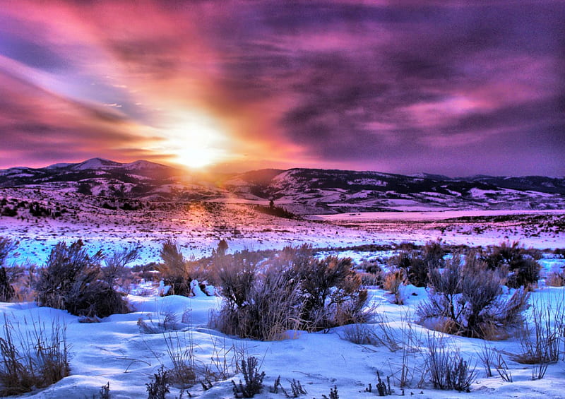 Winter sunset, pretty, sun, bonito, sunset, bushes, cold, sundown, nice, sunrise, frost, amazing, lovely, sunlight, sky, winter, rays, icy, snow, ice, sunshine, nature, frozen, field, HD wallpaper