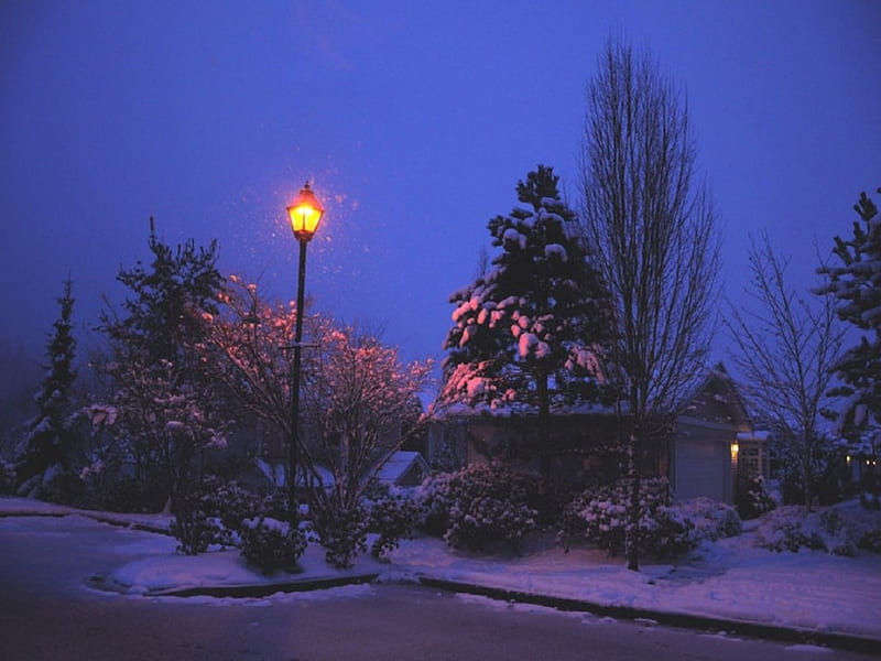 Cozy feeling, snow, parking lot, homes, lamp post, trees, winter, HD wallpaper