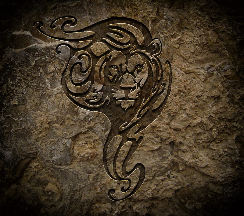 rock lion, saguaro, HD wallpaper