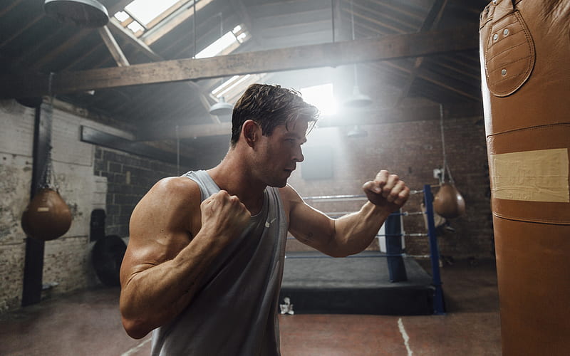 Actors, Chris Hemsworth, Fitness, HD wallpaper