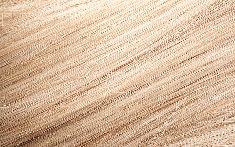 blonde hair background macro, hair textures, blonde hair, background with hair, HD wallpaper