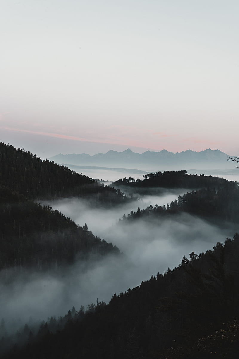 mountains, fog, aerial view, forest, dusk, HD phone wallpaper