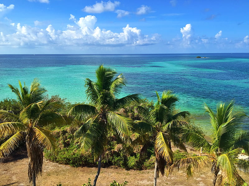 Beach, Sea, Summer, Paradise, Fantastic, Palm Tree, Hd Wallpaper 