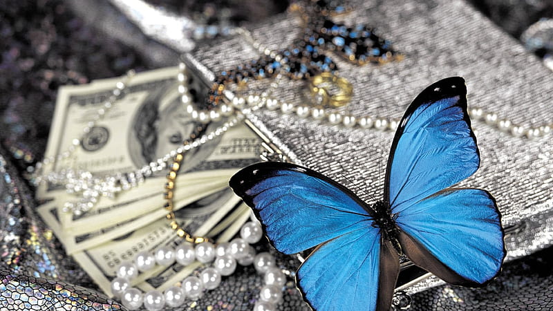 Blue Butterfly On Pearls, pearls, blue, butterfly, birds, HD wallpaper