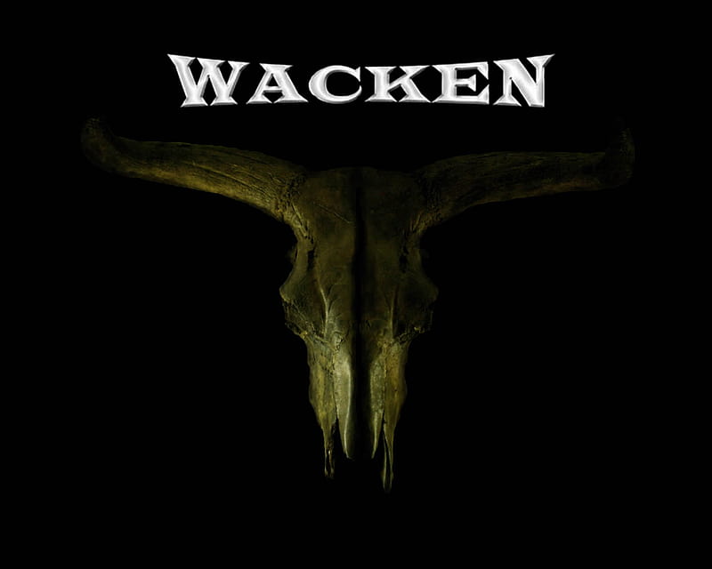 Wacken Open Air Festival, festival, metal, germany, wacken, air, heavy, open, HD wallpaper