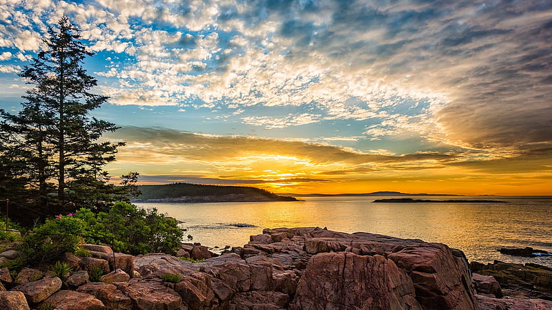 Sunrise, rocks, USA, dawn, National Park, clouds, sky, tree, water, Maine, coast, HD wallpaper
