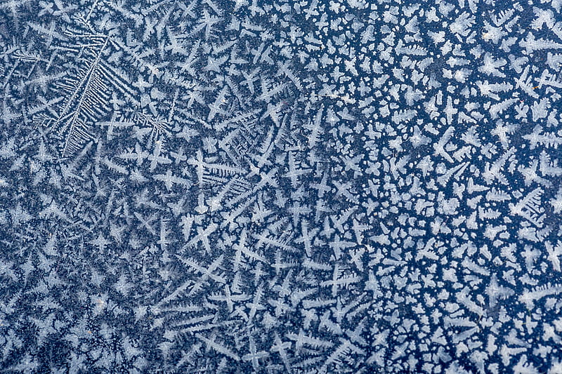 frost, ice, pattern, macro, HD wallpaper