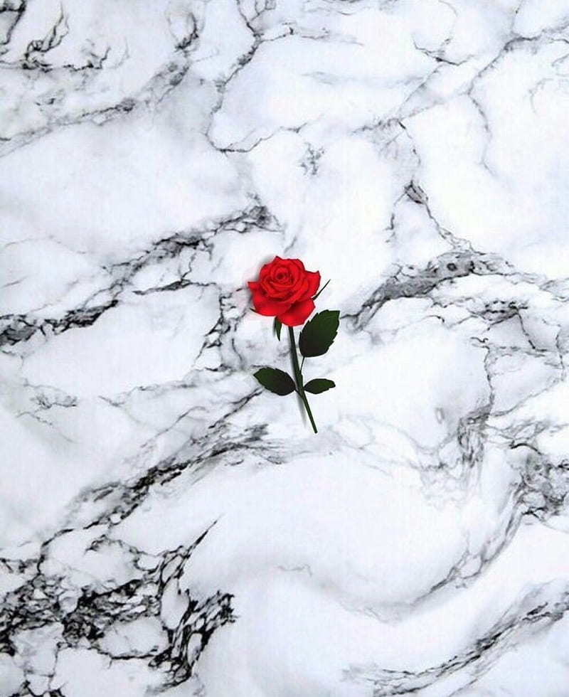 Marble rose, black, casual, flowers, marble, modern, rose, simple, HD phone wallpaper