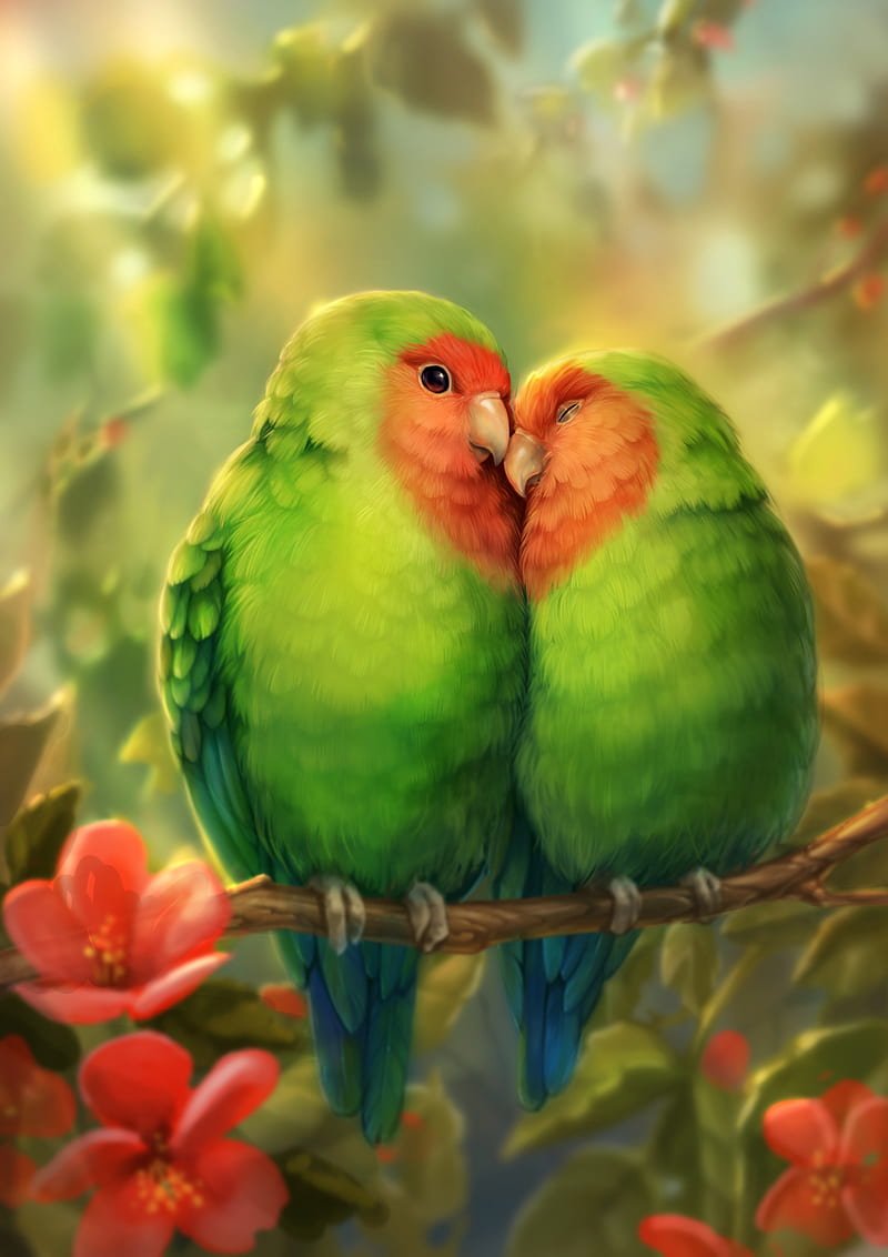 parrots, birds, romance, cute, art, HD phone wallpaper