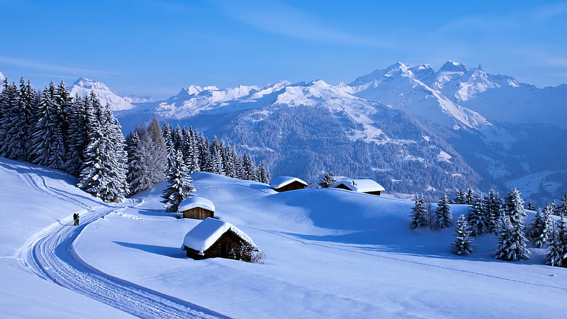 Winter in Swiss Alps, trees, snow, cabins, mountains, sky, HD wallpaper |  Peakpx