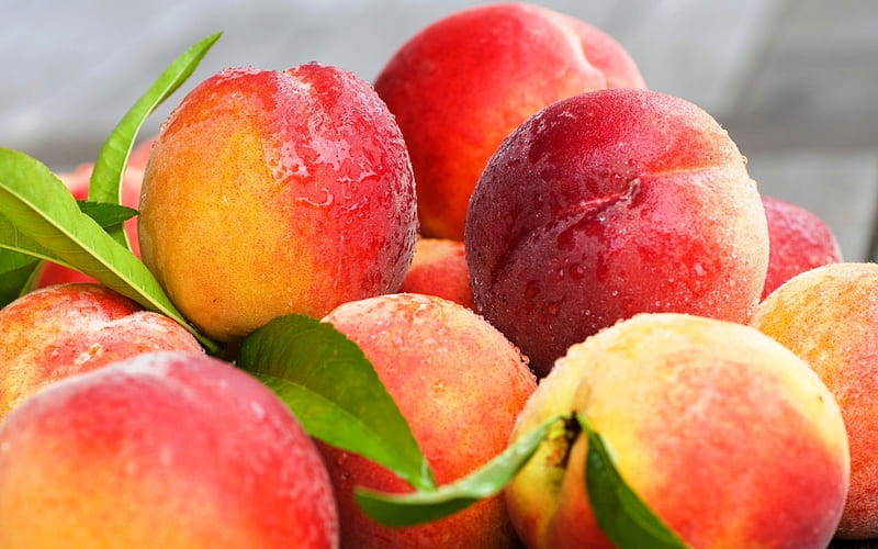 summer, peaches, fruit, dew drops, HD wallpaper