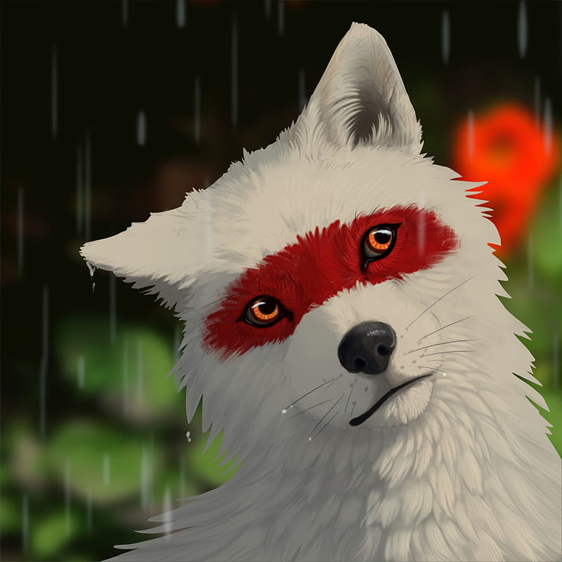 wolf, white, rain, drops, art, HD phone wallpaper
